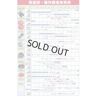画像8: [緑肥]　ニューオーツ(アウェナストリゴサ)　1kg　カネコ種苗(株)