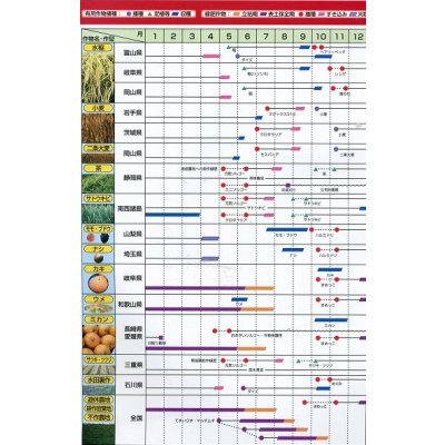 画像7: [緑肥]　ニューオーツ(アウェナストリゴサ)　1kg　カネコ種苗(株)