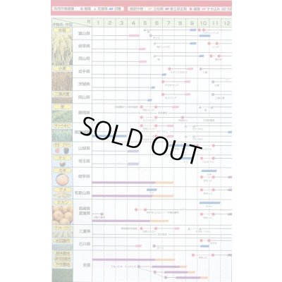 画像7: [緑肥]　ニューオーツ(アウェナストリゴサ)　1kg　カネコ種苗(株)