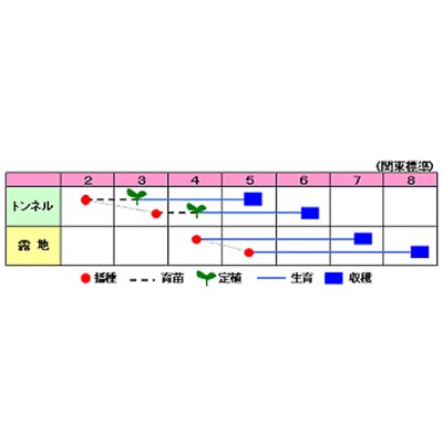 画像2: 送料無料　[枝豆]　おいしい枝豆とれました　1dl　渡辺農事