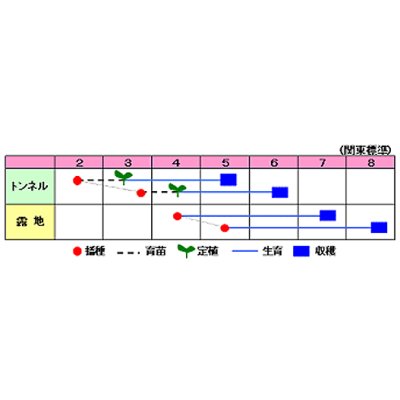 画像2: [枝豆]　おいしい枝豆とれました　1dl　 渡辺農事