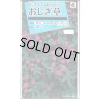 送料無料　花の種　おじぎ草　小袋　タキイ種苗(株)NL150