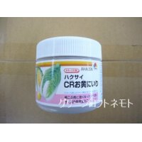 [白菜]　CRお黄にいり　5000粒 ペレット種子　タキイ種苗（株）