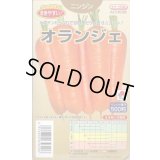 送料無料　[人参]　オランジェ　ペレット500粒　タキイ種苗(株)
