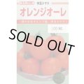送料無料　[トマト/中玉トマト]　オレンジオーレ　100粒　カネコ種苗（株）