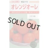 送料無料　[トマト/中玉トマト]　オレンジオーレ　100粒　カネコ種苗（株）