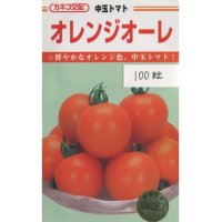 [トマト/中玉トマト]　オレンジオーレ　100粒　カネコ交配