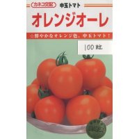 [トマト/中玉トマト]　オレンジオーレ　100粒　カネコ交配