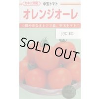 送料無料　[トマト/中玉トマト]　オレンジオーレ　100粒　カネコ種苗（株）