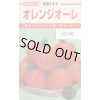 送料無料　[トマト/中玉トマト]　オレンジオーレ　100粒　カネコ種苗（株）