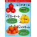 画像3: [トマト/中玉トマト]　オレンジオーレ　100粒　カネコ交配 (3)