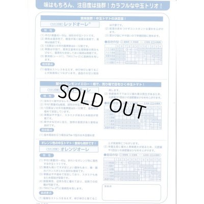 画像4: 送料無料　[トマト/中玉トマト]　イエローオーレ　14粒　カネコ種苗（株）