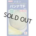 送料無料　[メロン]　パンナＴＦ　100粒　タキイ種苗(株)