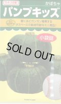 送料無料　[かぼちゃ]　ミニカボチャ　パンプキッズ　10粒　カネコ種苗（株）