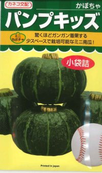 [かぼちゃ]　ミニカボチャ　パンプキッズ　10粒　カネコ交配