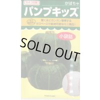 [かぼちゃ]　ミニカボチャ　パンプキッズ　100粒　カネコ交配