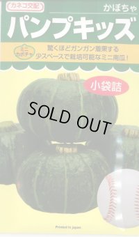 送料無料　[かぼちゃ]　ミニカボチャ　パンプキッズ　10粒　カネコ種苗（株）