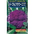 送料無料　[カリフラワー]　パープルフラワー　コート　1000粒　武蔵野交配