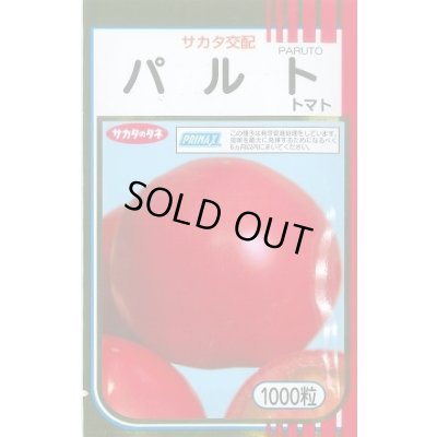 画像1: 送料無料 [トマト] パルト 1000粒 (株)サカタのタネ
