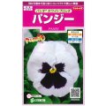 送料無料　花の種　パンジー　パシオ　ホワイトブロッチ　約34粒　(株)サカタのタネ　実咲350（026143）