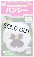 送料無料　花の種　パンジー　パシオ　ホワイトブロッチ　約34粒　(株)サカタのタネ　実咲350（026143）