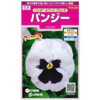 送料無料　花の種　パンジー　パシオ　ホワイトブロッチ　約34粒　(株)サカタのタネ　実咲350（026143）