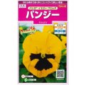 送料無料　花の種　パンジー　パシオ　イエローブロッチ　約34粒　(株)サカタのタネ　実咲350（026141）