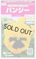 送料無料　花の種　パンジー　パシオ　イエローブロッチ　約34粒　(株)サカタのタネ　実咲350（026141）