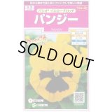 送料無料　花の種　パンジー　パシオ　イエローブロッチ　約34粒　(株)サカタのタネ　実咲350（026141）
