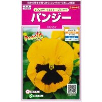 送料無料　花の種　パンジー　パシオ　イエローブロッチ　約34粒　(株)サカタのタネ　実咲350（026141）