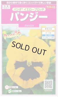 送料無料　花の種　パンジー　パシオ　イエローブロッチ　約34粒　(株)サカタのタネ　実咲350（026141）