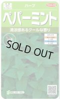 送料無料　[ハーブの種]　ペパーミント　約1300粒　(株)サカタのタネ　実咲（003190）