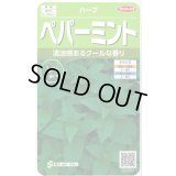 送料無料　[ハーブの種]　ペパーミント　約1300粒　(株)サカタのタネ　実咲（003190）