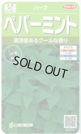 送料無料　[ハーブの種]　ペパーミント　約1300粒　(株)サカタのタネ　実咲（003190）