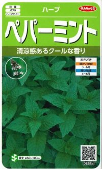 [ハーブの種]　ペパーミント　約1300粒　サカタのタネ　実咲