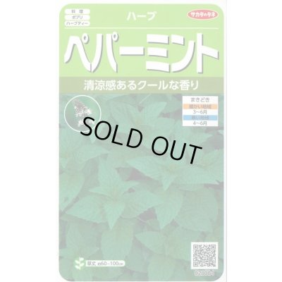 画像1: 送料無料　[ハーブの種]　ペパーミント　約1300粒　(株)サカタのタネ　実咲（003190）