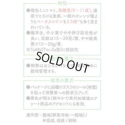 画像3: 送料無料　[トマト/マウロの地中海トマト]　ピッコラカナリア　100粒　サナテックシード（株）