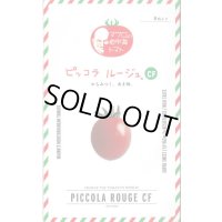 送料無料　[ミニトマト]　ピッコラルージュCF　100粒　サナテックシード（株）