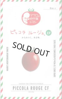 送料無料　[ミニトマト]　ピッコラルージュCF　100粒　サナテックシード（株）