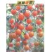 画像4: [トマト/マウロの地中海トマト]　ピッコラカナリア　100粒
