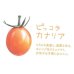 画像2: [トマト/マウロの地中海トマト]　送料無料！　ピッコラカナリア　1000粒 (2)