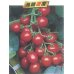 画像5: [トマト/マウロの地中海トマト]　送料無料！　ピッコラルージュ　1000粒