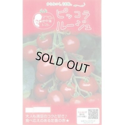 画像2: [トマト/マウロの地中海トマト]　送料無料！　ピッコラルージュ　1000粒