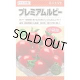 送料無料　[トマト/ミニトマト]　プレミアムルビー　11粒　カネコ種苗（株）