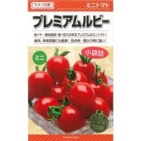 [トマト/ミニトマト]　プレミアムルビー　11粒　カネコ交配　