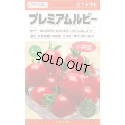 画像1: 送料無料　[トマト/ミニトマト]　プレミアムルビー　11粒　カネコ種苗（株）