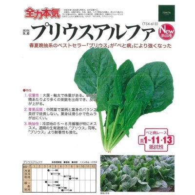画像2: ほうれんそう　プリウスアルファ　Ｍ3万粒　ダイヤ交配