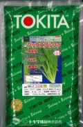 ほうれんそう　プリウスアルファ　Ｍ3万粒　ダイヤ交配