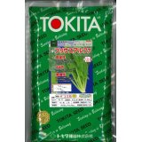 ほうれんそう　プリウスアルファ　Ｍ3万粒　ダイヤ交配