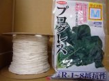 [シーダー種子]　ほうれんそう　プログレス　1粒×5cm間隔